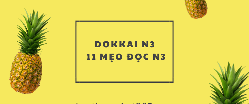 Dokkai N3